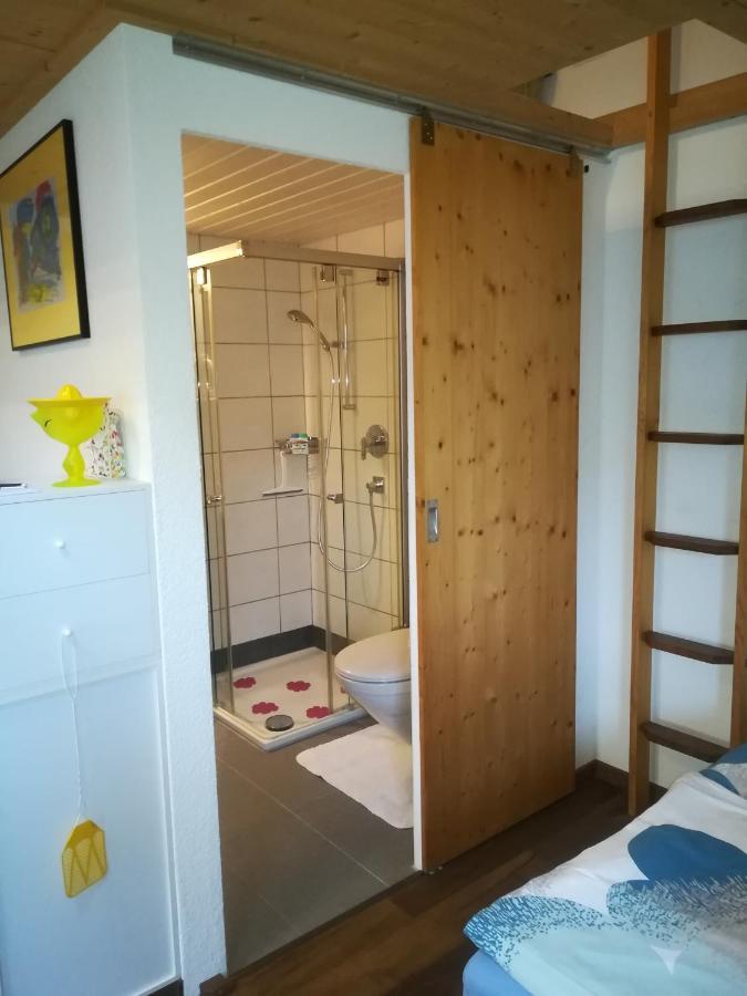 Montanara Apartment Meiringen Luaran gambar