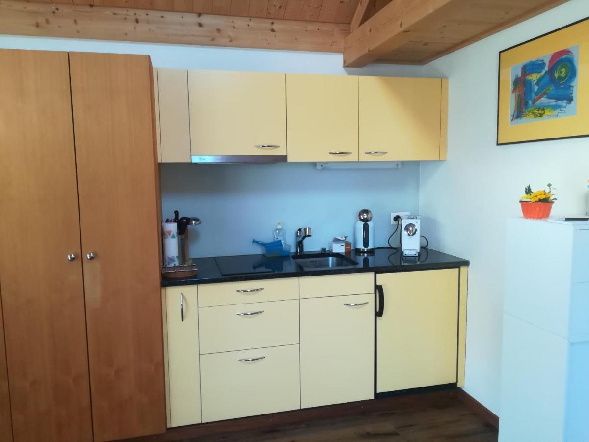 Montanara Apartment Meiringen Luaran gambar
